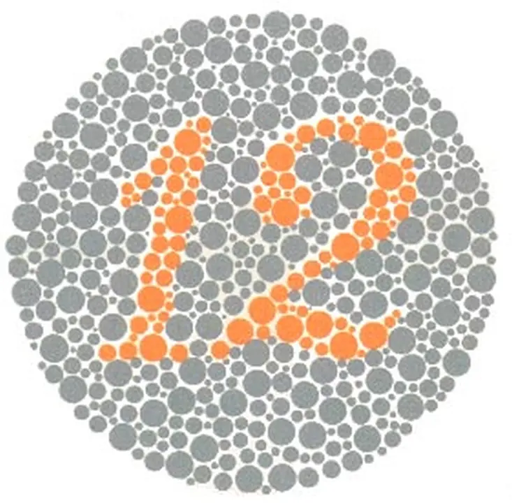 Ishihara renk görme test plakası 1