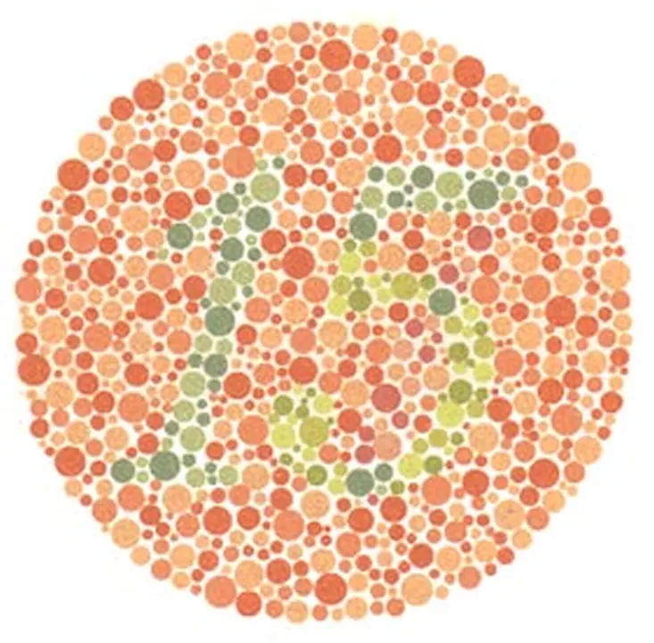 Ishihara renk görme test plakası 13