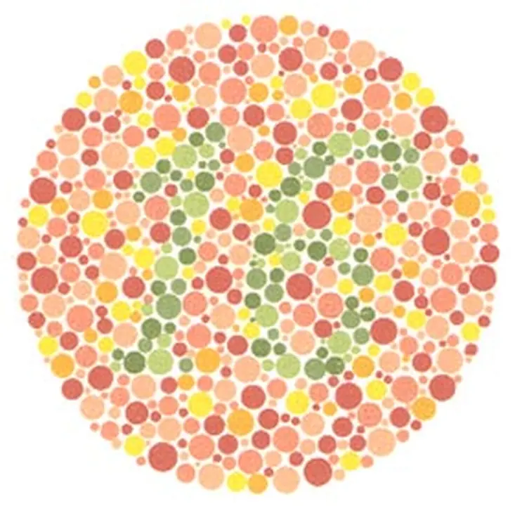 Ishihara renk görme test plakası 4