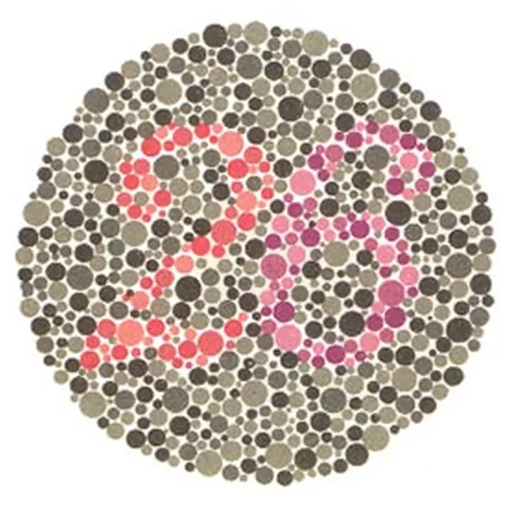 Ishihara renk görme test plakası 8