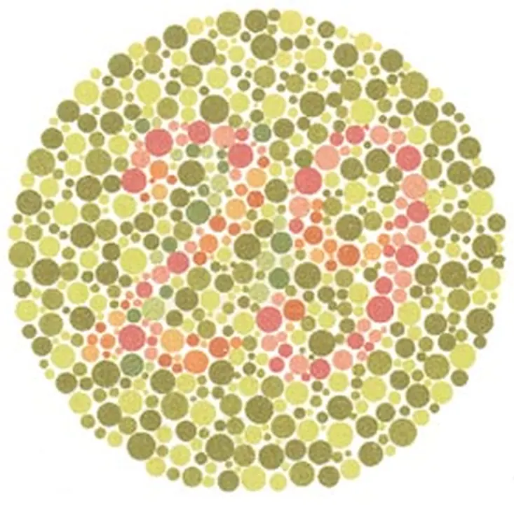 Ishihara renk görme test plakası 11