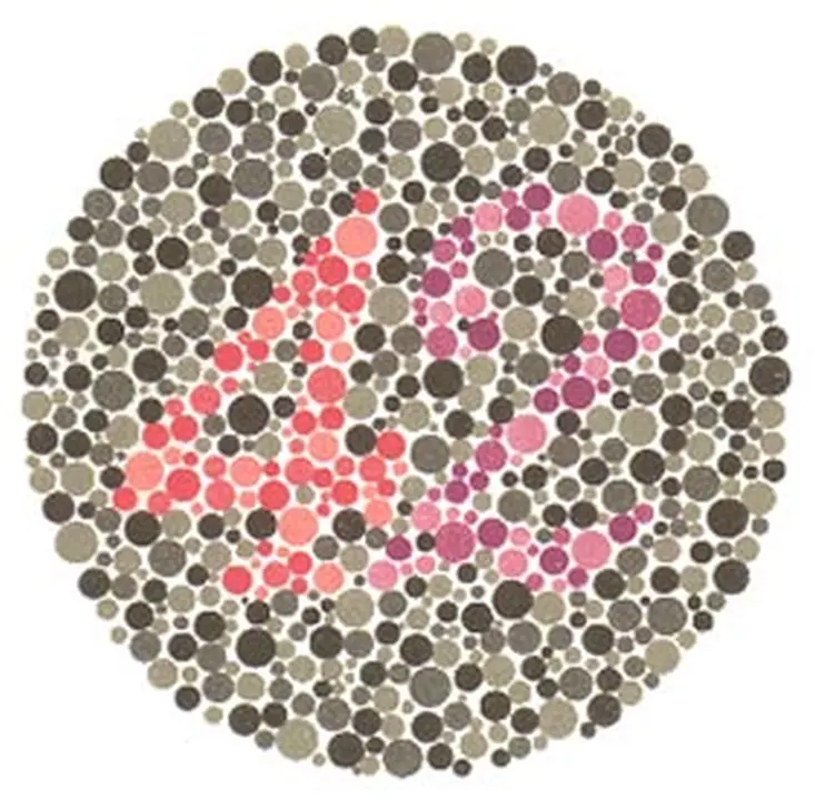 Ishihara renk görme test plakası 9