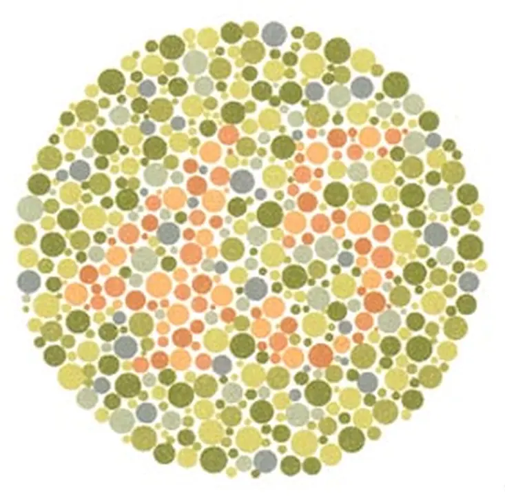 Ishihara renk görme test plakası 16