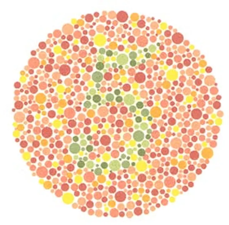 Ishihara renk görme test plakası 2