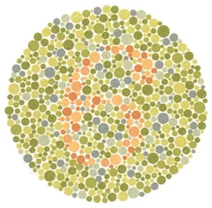 Ishihara renk görme test plakası 15