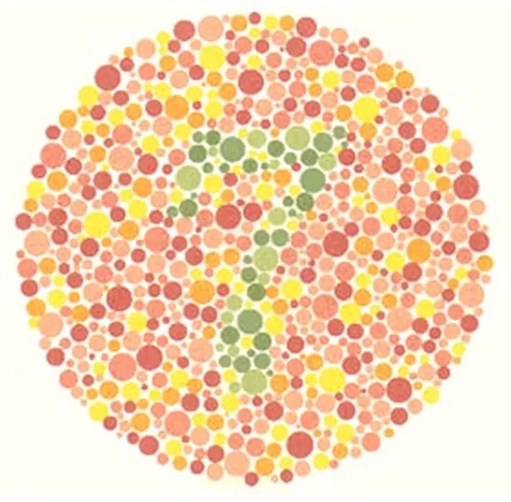 Ishihara renk görme test plakası 3