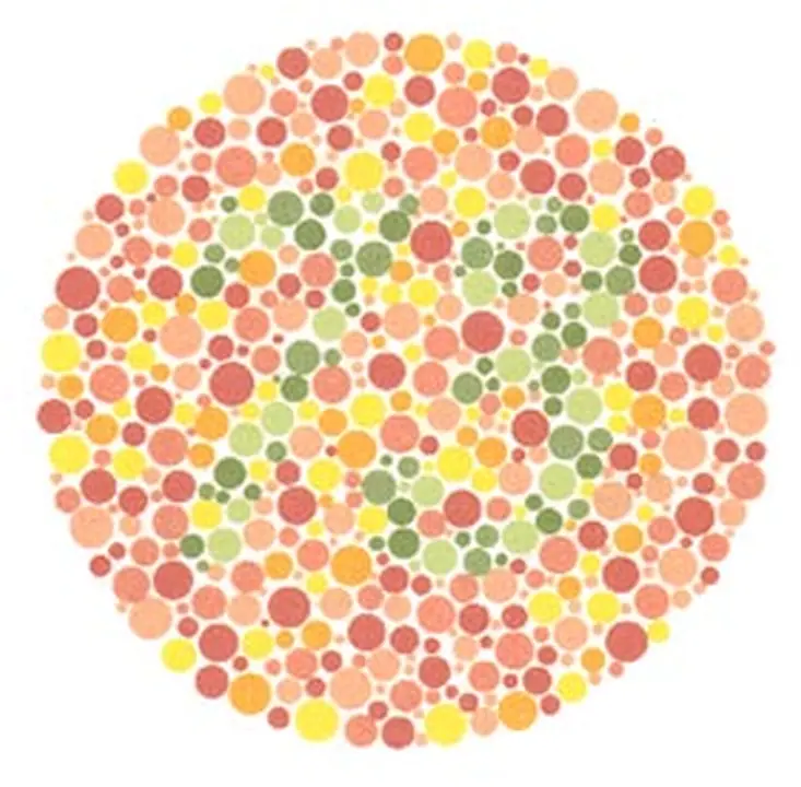 Ishihara renk görme test plakası 5