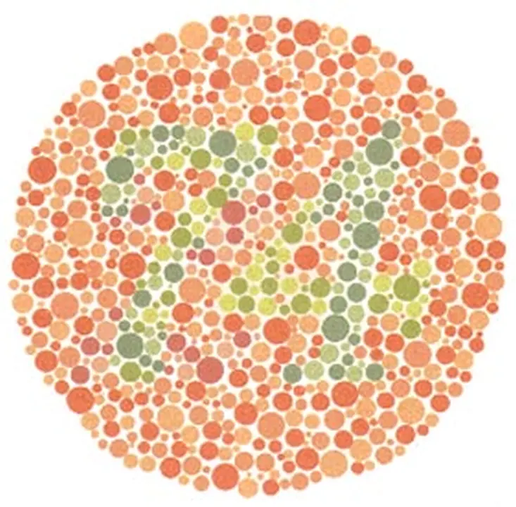 Ishihara renk görme test plakası 14