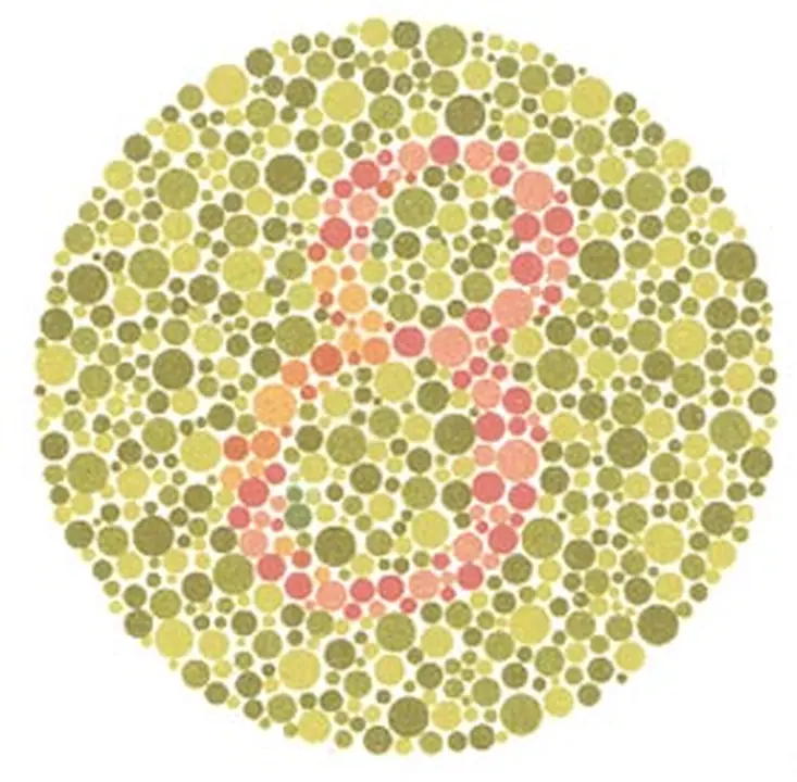 Ishihara renk görme test plakası 10