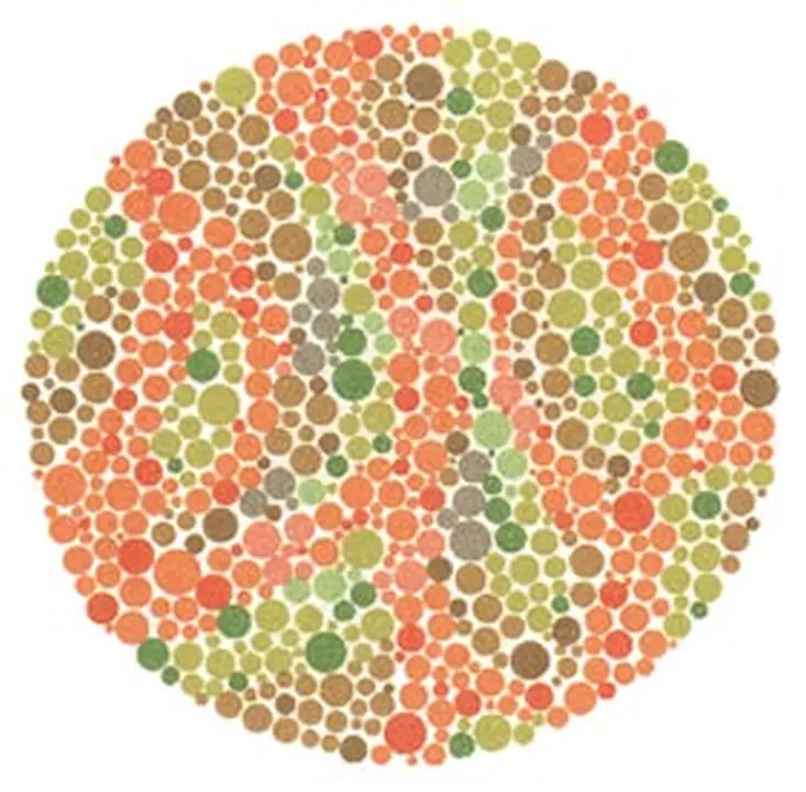 Ishihara renk görme test plakası 6