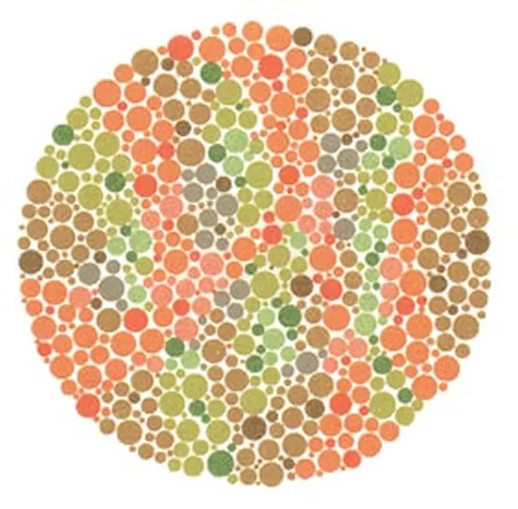 Ishihara renk görme test plakası 7