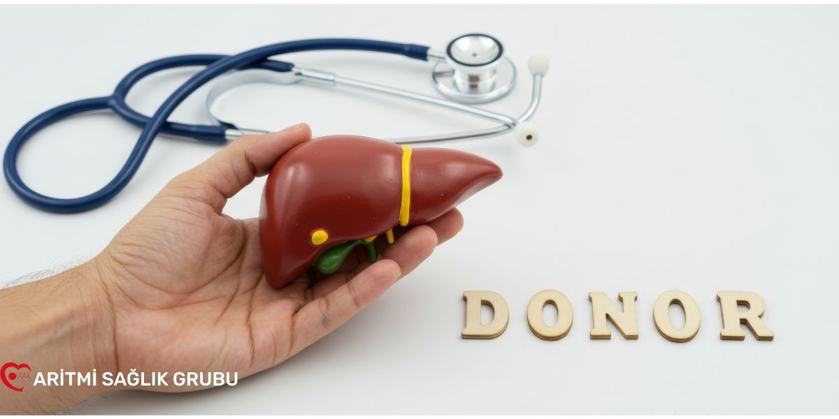 Hepatit B Nedir