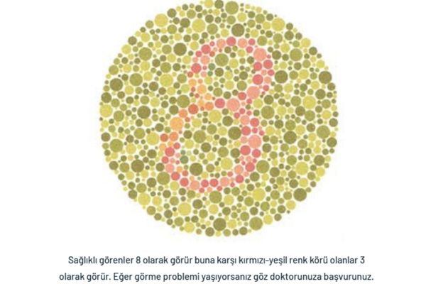bursa-renk-korlugu